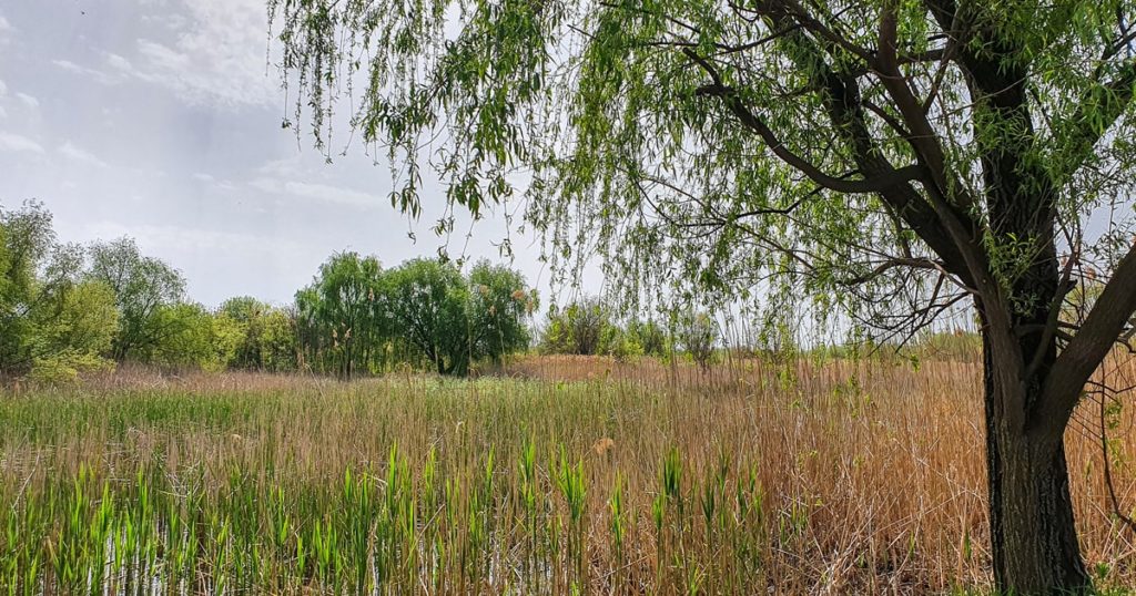 Peisaj din singurul parc natural urban din Romania