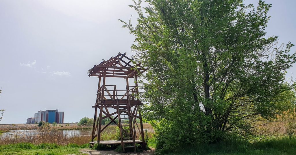 Observatorul Parcului Natural Vacaresti