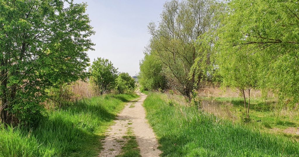 Traseu pentru biciclisti in Delta Vacaresti