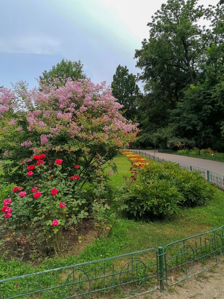 Aleea principala din Gradina Botanica din Bucuresti