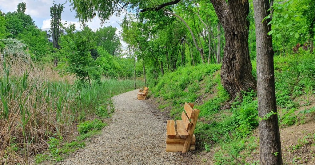 Banci pe butuci de lemn in cel mai nou parc din Bucuresti