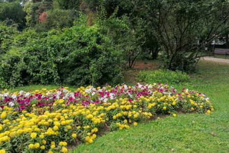 Gradina Botanica din Bucuresti