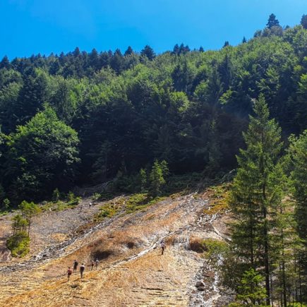 Cascada Urlatoarea din Vama Buzaului