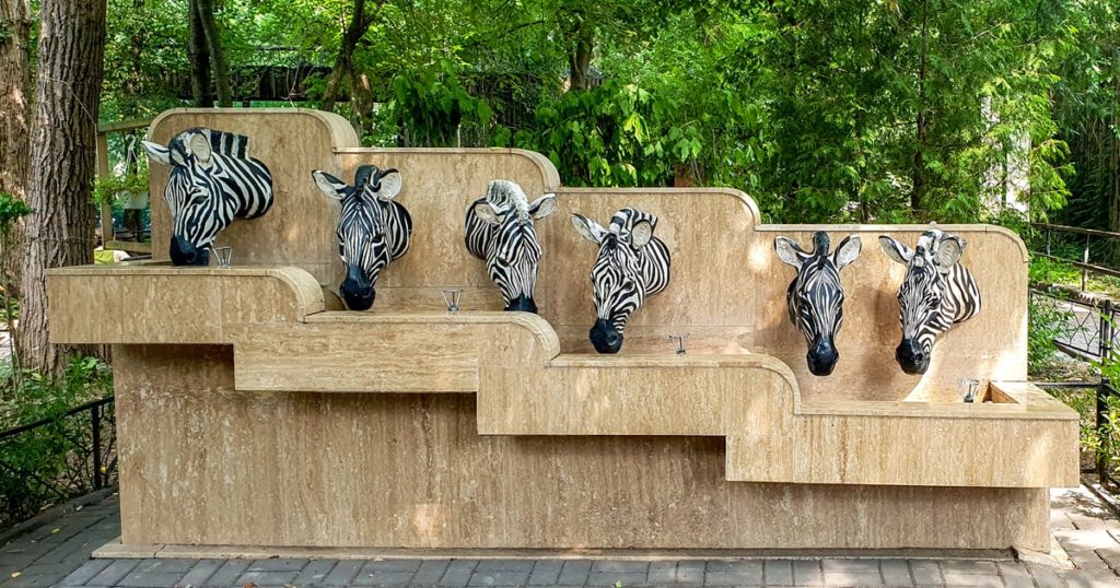 Cismea de apa cu design zebra - Gradina Zoologica Bucuresti