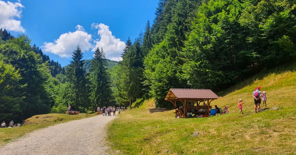 Foisor si zona de picnic la Cascada Urlatoarea din Vama Buzaului