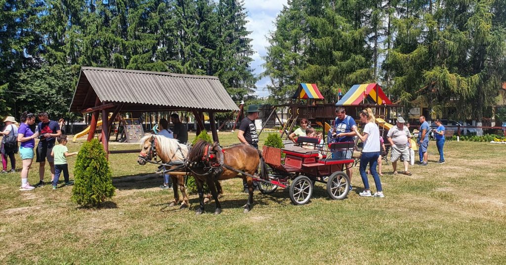 Plimbare cu trasura - Rezervatia de Zimbri din Acris