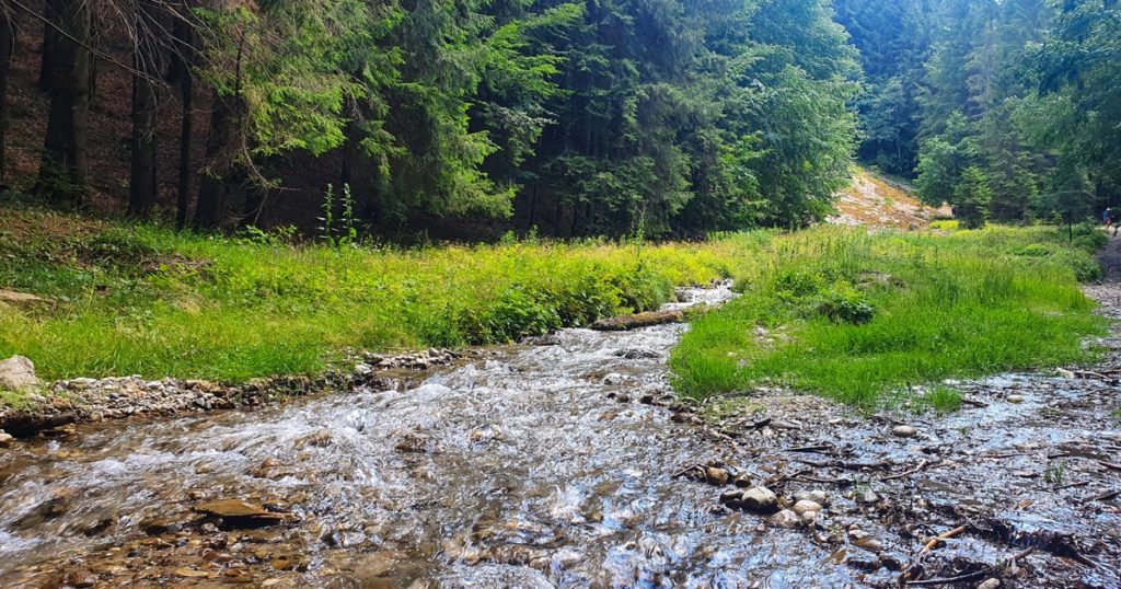 Vedere de la Cascada Urlatoarea din Vama Buzaului