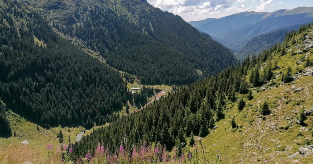 Imagini Transfagarasan