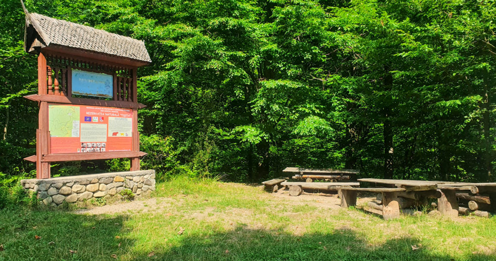 Intrare pe traseul Cheile Tisitei din Lepsa, Vrancea