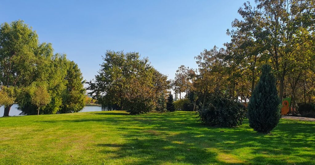 Zona cu verdeata in Parcul Dendrologic Chitila