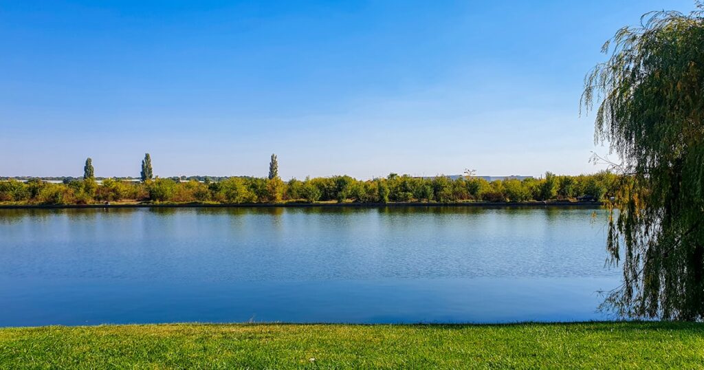 Padurea Chitila vazuta de pe marginea lacului, din Parcul Chitila