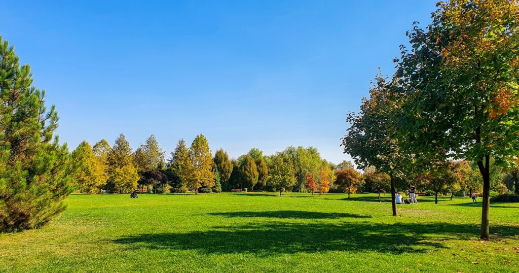 Spatiu verde in Parcul Dendrologic Chitila